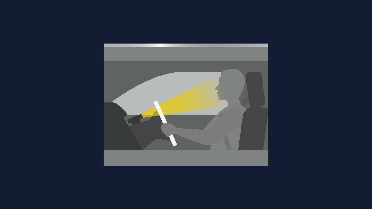 Driver Monitoring System